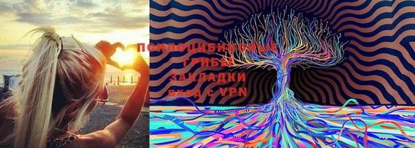 ECSTASY Алзамай
