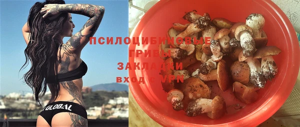 сатива Алексеевка