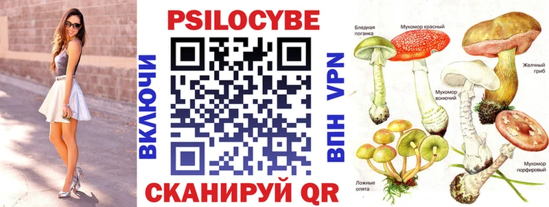 Галлюциногенные грибы Psilocybe  Богучар 